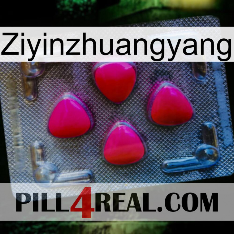 Ziyinzhuangyang 13